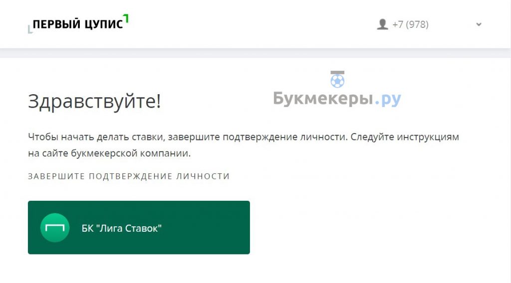 Идентификация в БК Лига Ставок онлайн - картинка 9